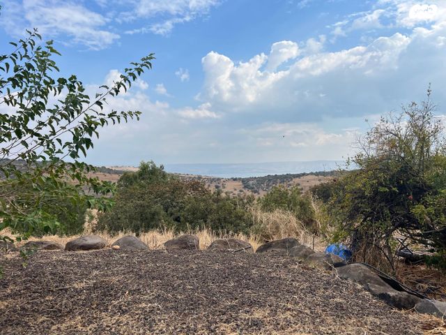 דו משפחתי, חוקוק