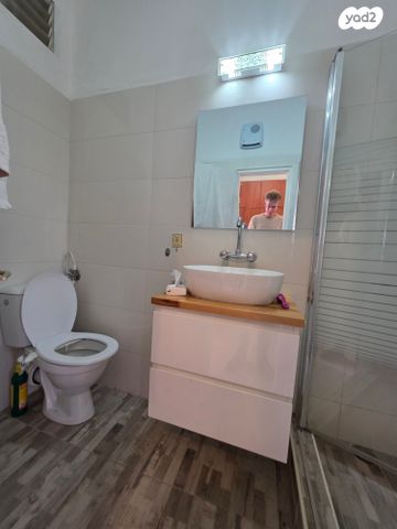 דירה, ג'ורג' לנדאור, מרכז העיר, סביניה, הוותיקה, קרית ביאליק