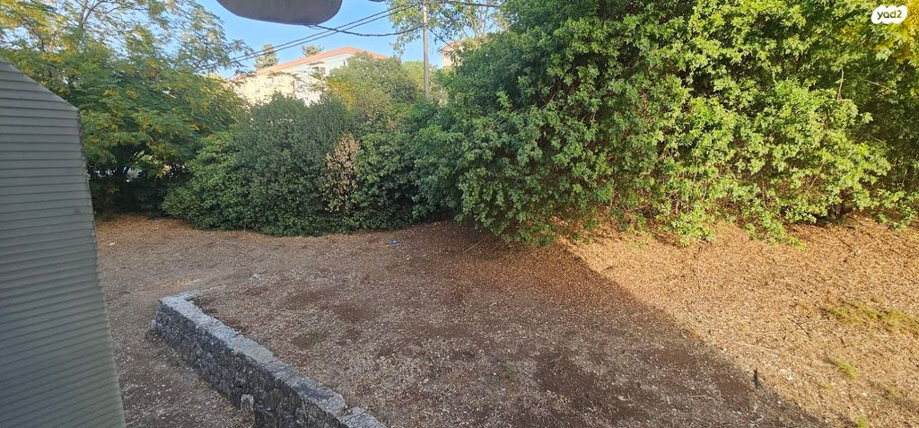 דירה, מעלה חסון, שכונה ותיקה - מרכז העיר, מעלות תרשיחא