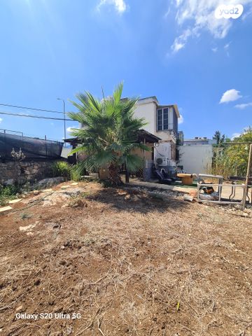 יאנוש קורצ'אק 