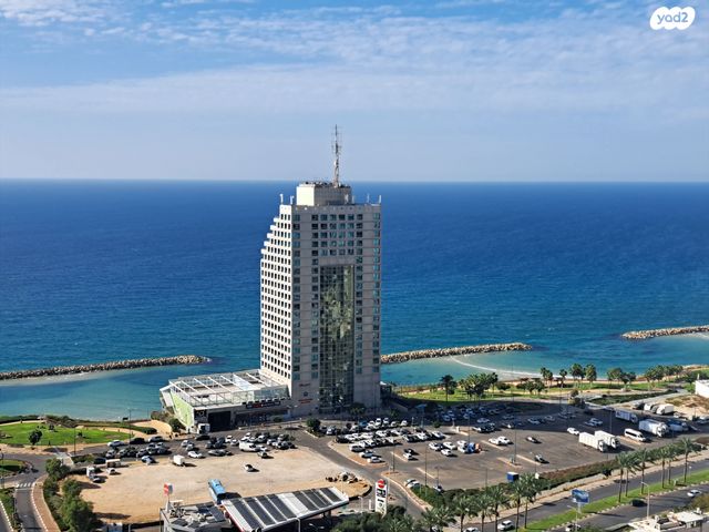 אמנון ליפקין שחק 5