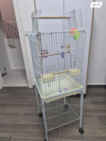 תמונת מודעה - חיות מחמד