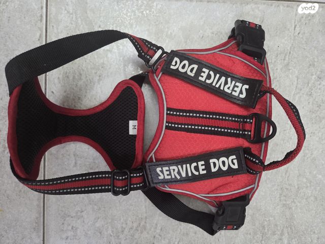 תמונת מודעה - חיות מחמד