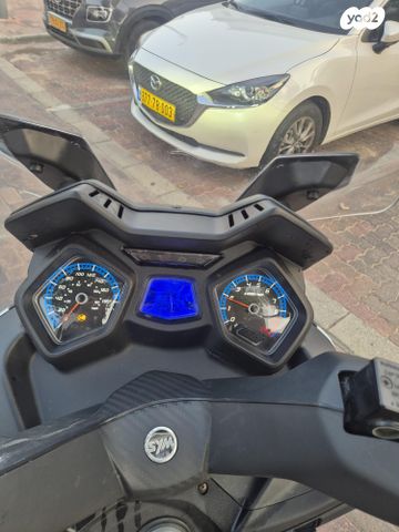 סאן יאנג ג'וי-מקס Z-250