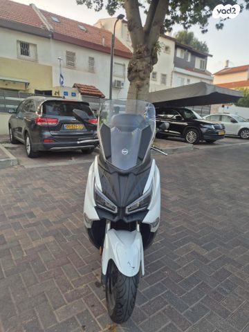 סאן יאנג ג'וי-מקס Z-250