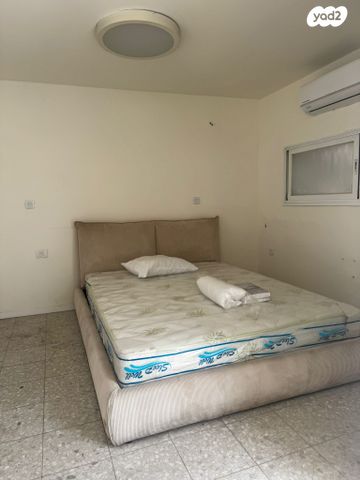 פנחס רוזן 11