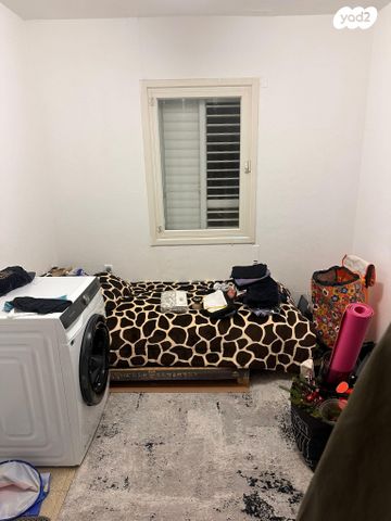 דירה, ארבע ארצות 16, ג'סי כהן, חולון