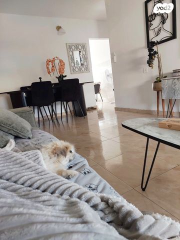 דירה, הרצל, שאר העיר, קרית עקרון