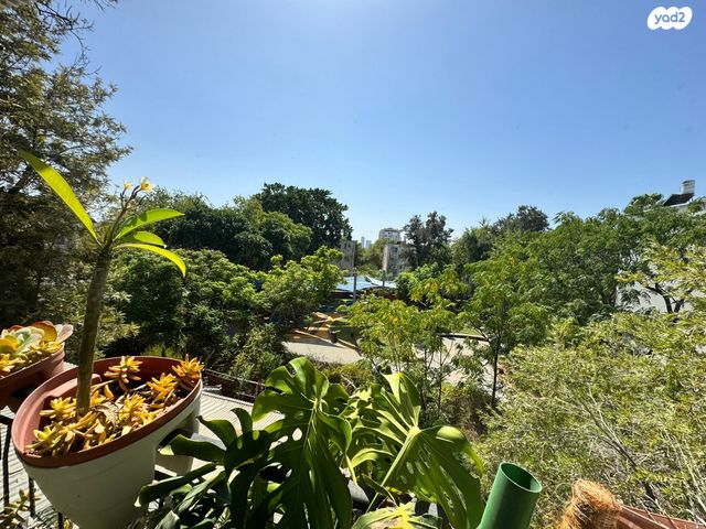 דירה, דב ממזריץ' 18, תל אביב יפו