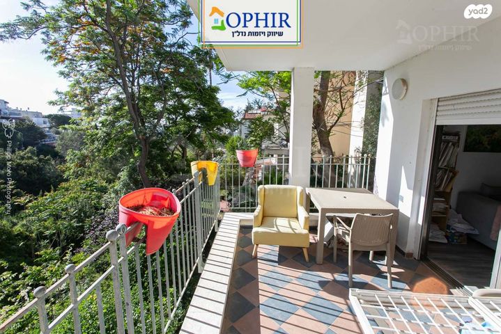 מנחם בייליס 