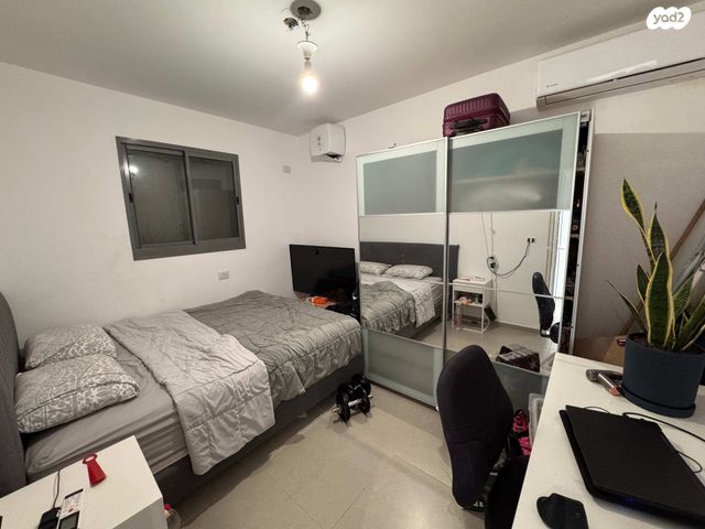 דירה, הגל, החותרים, טירת כרמל