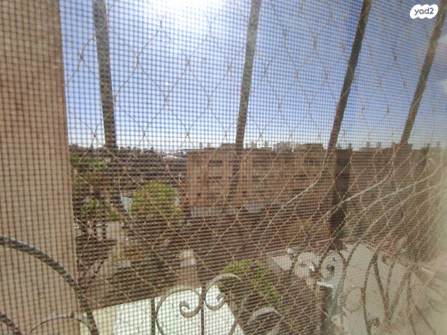 דירה, בן גוריון כנען, צפת