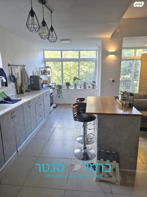 דירת גן, רוממה, חיפה