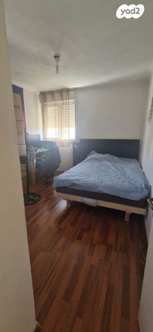 דירה, אשכול, כרמיאל