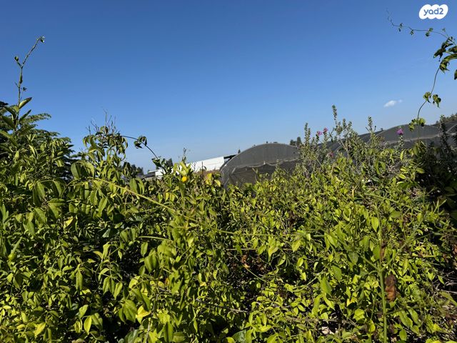 בית פרטי/ קוטג', בית יצחק שער חפר