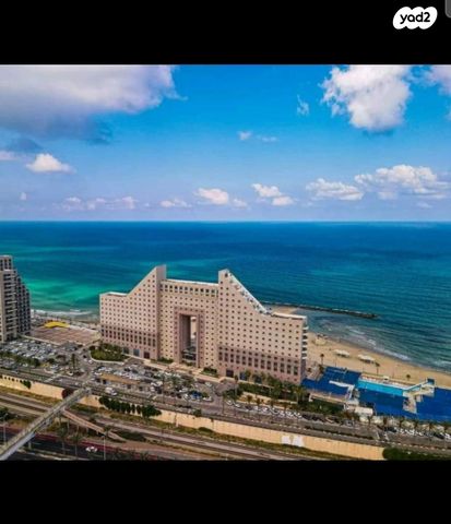 דוד אלעזר 10