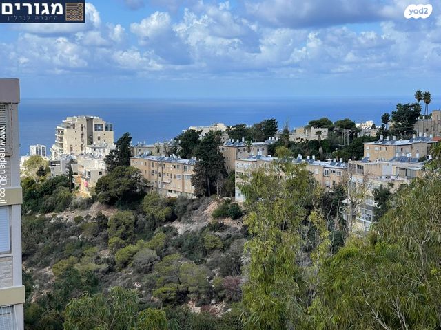 דירה, בית אל, רמת התשבי, חיפה