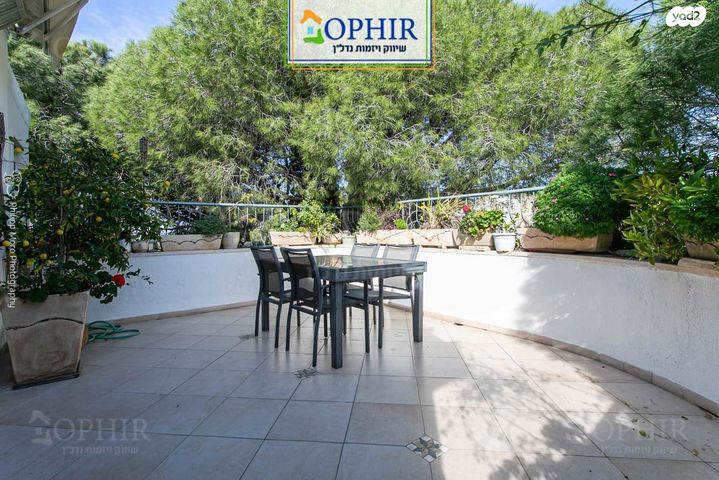 שדרות הנדיב 