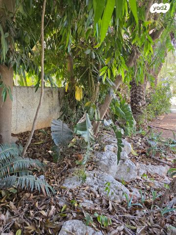 בית פרטי/ קוטג', קרית יערים, רמת השרון