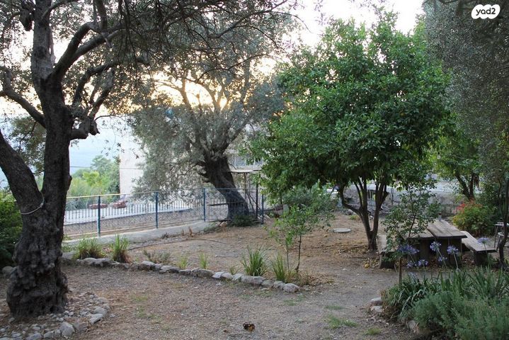 בית פרטי/ קוטג', העיר העתיקה, צפת