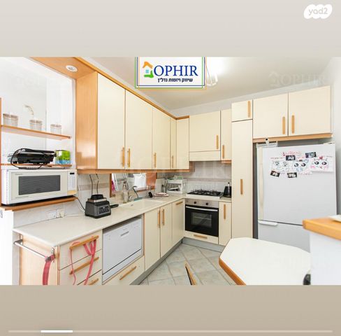 דירה, ויתקין, אחוזה, חיפה