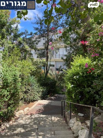 דירה, בית אל, רמת התשבי, חיפה