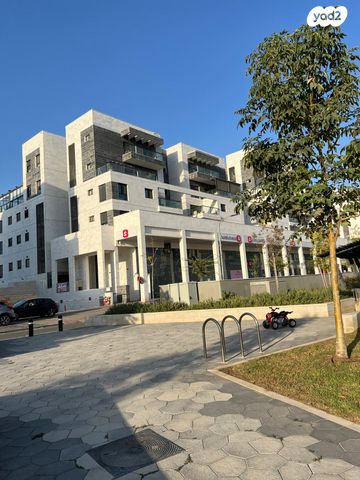 חיים ויצמן 26