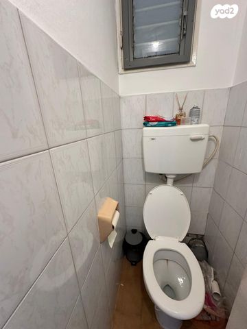 דירה, הערבה, ג'סי כהן, חולון