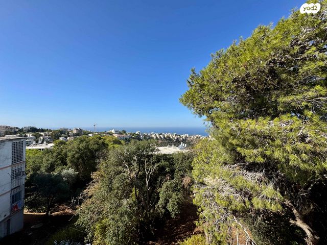 דירה, מרכז הכרמל, חיפה