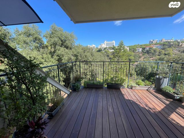 שושנת הכרמל 