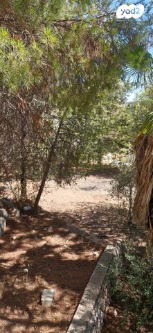 דירה, אשכול, כרמיאל