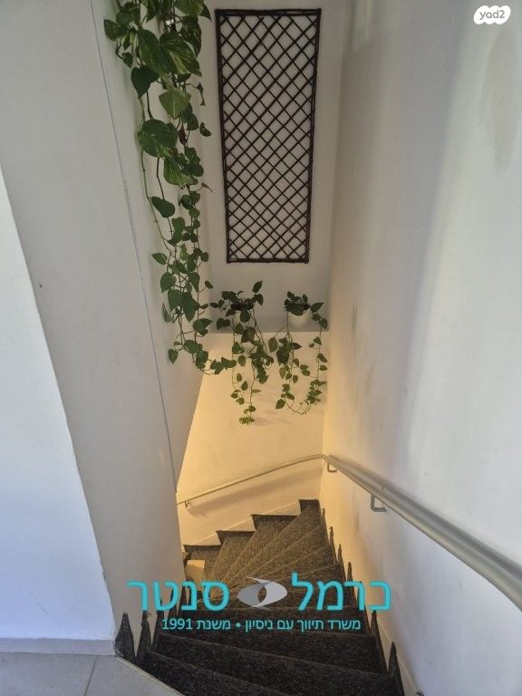 דירת גן, רוממה, חיפה