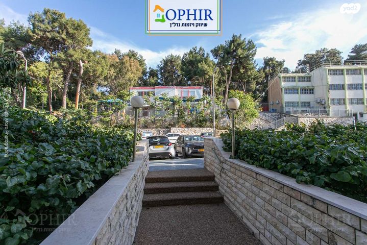 דירה, קרן היסוד, רוממה, חיפה