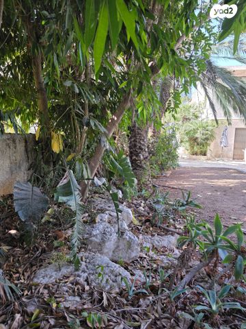 בית פרטי/ קוטג', קרית יערים, רמת השרון