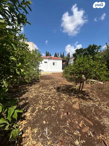 דו משפחתי, פינס, שיכוני מזרחי, כפר סבא