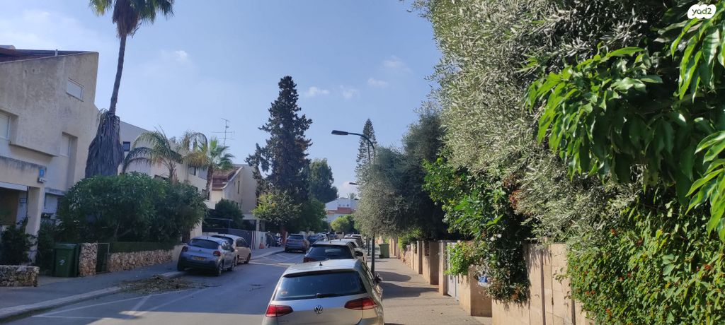 מרדכי אלקחי 