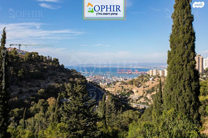 דירה, קרן היסוד, רוממה, חיפה