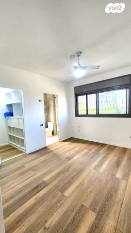 דירה, כרמל, אחוזת הנשיא, רחובות