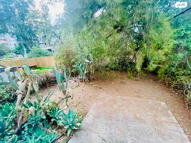 אברהם לייסין 