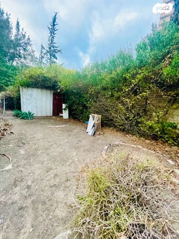 דירה, אברהם לייסין, קרית אליעזר, חיפה