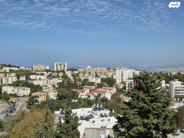 ארתור הנטקה 39