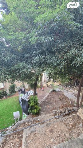 דירה, הס, הדר עליון, חיפה