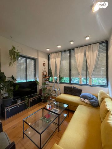 שלומציון המלכה 