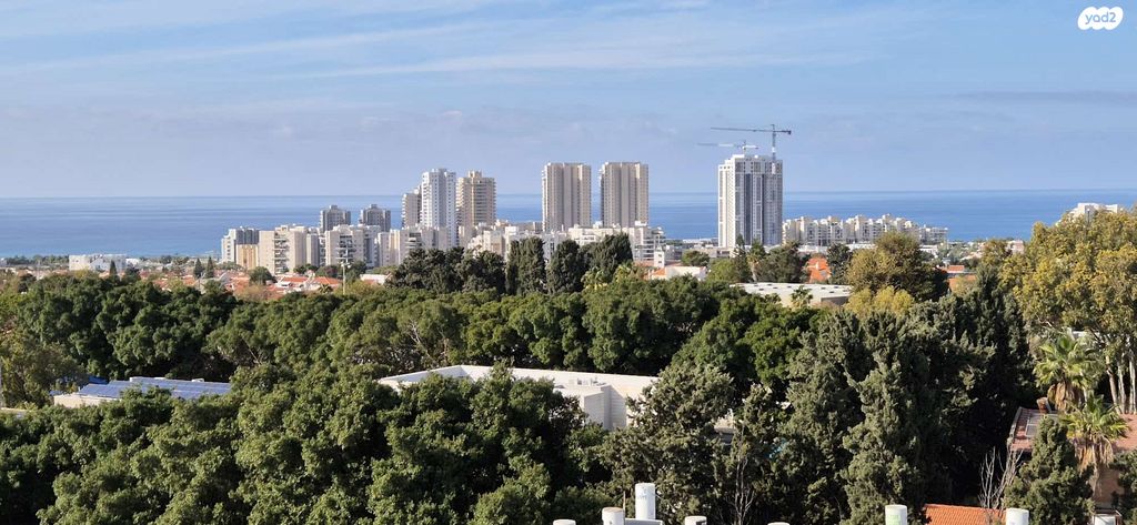 דירה, יוסף פינס, אפרידר, אשקלון