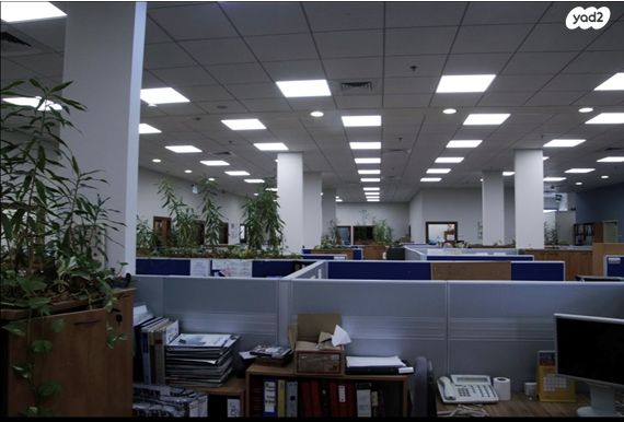 משרדים, הקישון, אזור תעשיה, יבנה