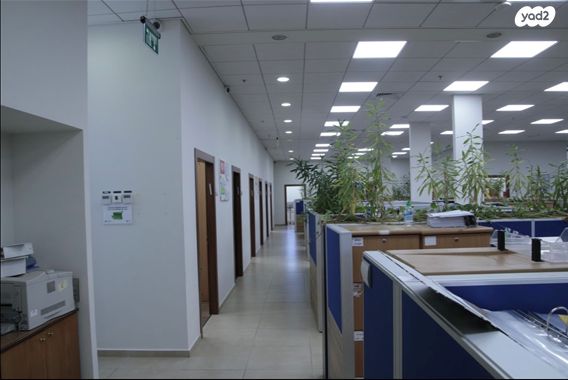 משרדים, הקישון, אזור תעשיה, יבנה