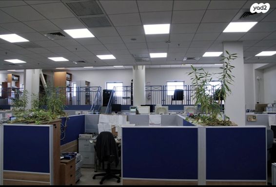 משרדים, הקישון, אזור תעשיה, יבנה
