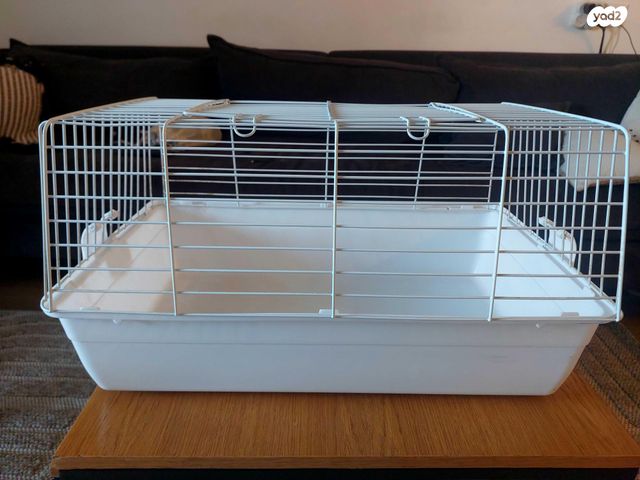 תמונת מודעה - חיות מחמד