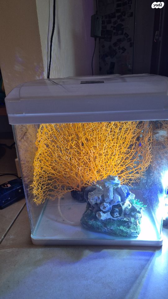 תמונת מודעה - חיות מחמד