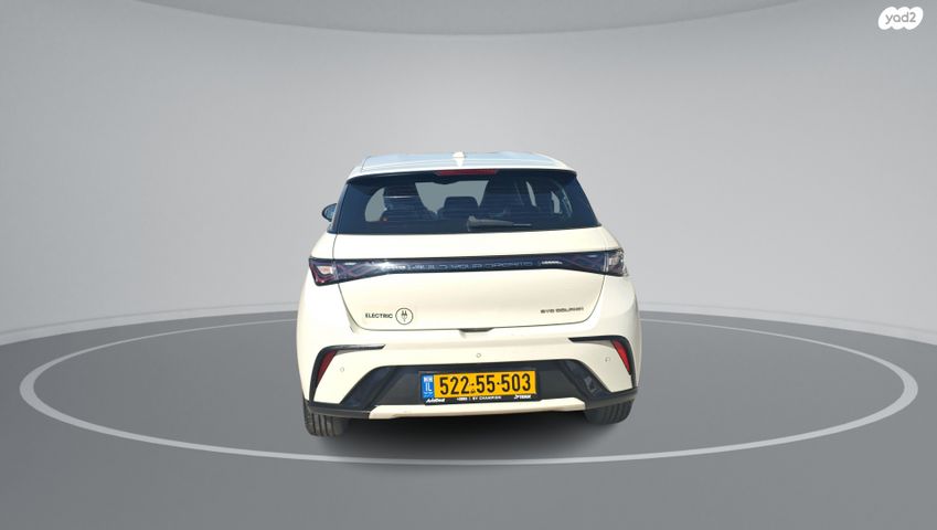 בי.ווי.די דולפין